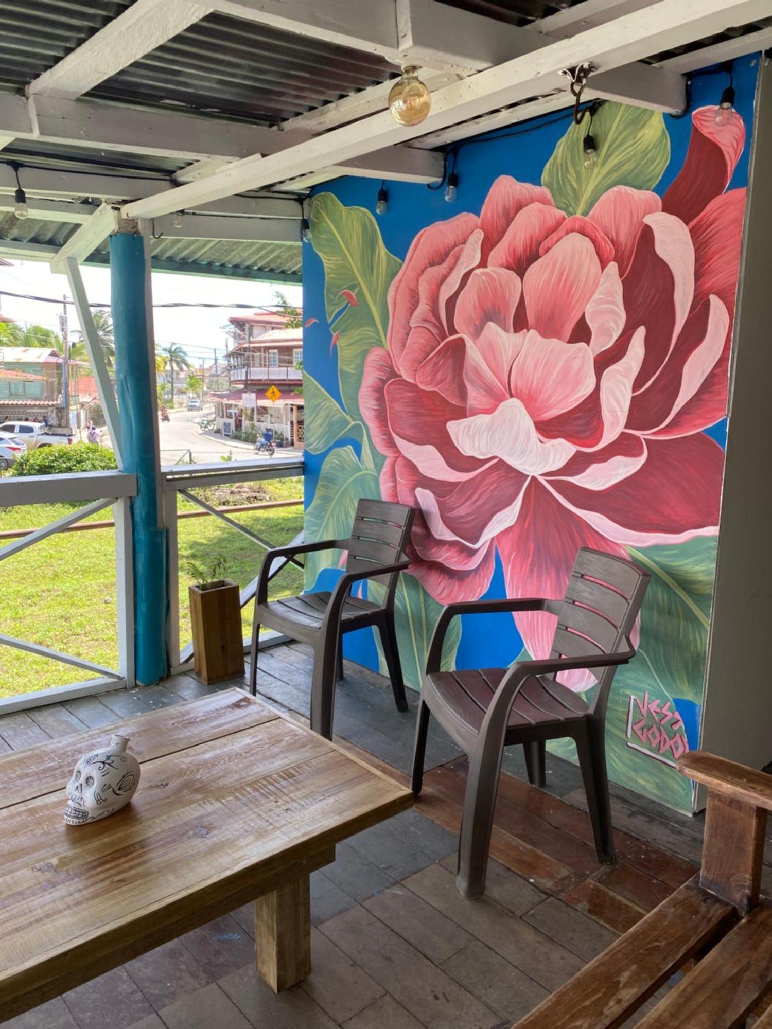 The Bocas Corner Pansiyon Bocas Town Dış mekan fotoğraf